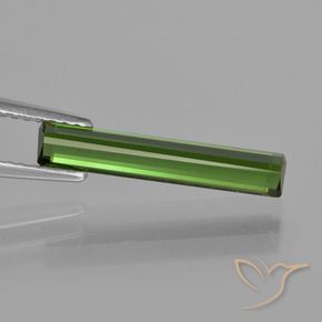 Turmalina Verde floresta Natural 1.53ct, Corte Octógono / Esmeralda, VVS-VS