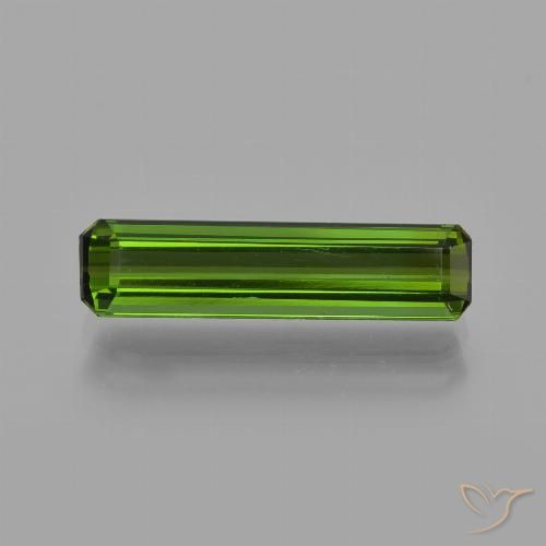 1.54ct Natural Verde floresta Turmalina, Corte Esmeralda, VS