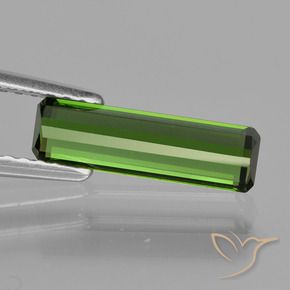 Turmalina Verde médio Natural 1.12ct, Corte Octógono / Esmeralda, VVS-VS