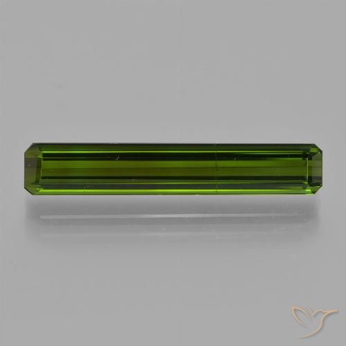 3.24ct Natural Floresta Profunda Verde Turmalina, Corte Esmeralda, VS
