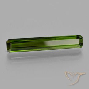 Turmalina Floresta Profunda Verde Natural 3.24ct, Corte Octógono / Esmeralda, VS
