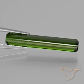 Turmalina Floresta Profunda Verde Natural 3.24ct, Corte Octógono / Esmeralda, VS