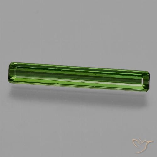 1.33ct Natural Verde floresta Turmalina, Corte Esmeralda, VS