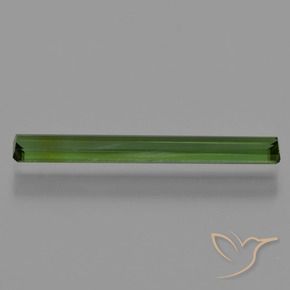 Turmalina Floresta Profunda Verde Natural 1.32ct, Corte Octógono / Esmeralda, VVS-VS