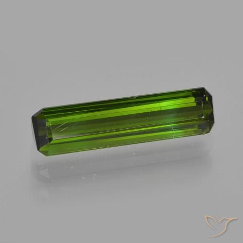 1.67ct Natural Verde floresta Turmalina, Corte Esmeralda, VVS-VS