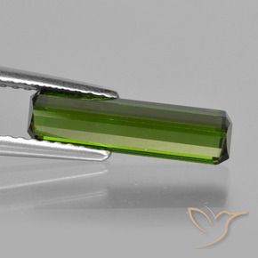 Turmalina Verde escuro Natural 1.64ct, Corte Octógono / Esmeralda, VS