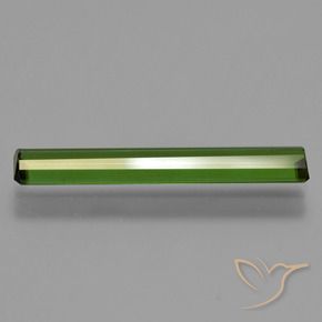 Turmalina Verde floresta Natural 1.45ct, Corte Octógono / Esmeralda, VS