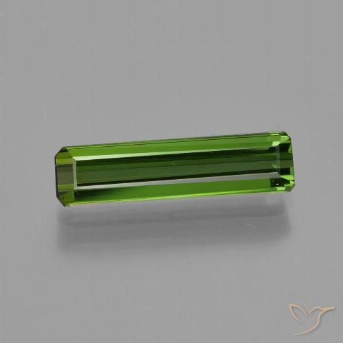 1.11ct Natural Verde floresta Turmalina, Corte Esmeralda, VVS-VS