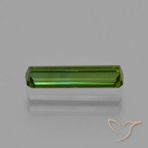 Turmalina Verde Terroso Natural 0.99ct, Corte Octógono / Esmeralda, VVS-VS