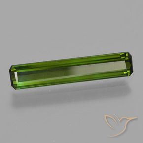 Turmalina Verde floresta Natural 1.23ct, Corte Octógono / Esmeralda, VS