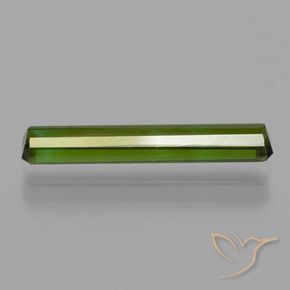 Turmalina Verde floresta Natural 1.23ct, Corte Octógono / Esmeralda, VS