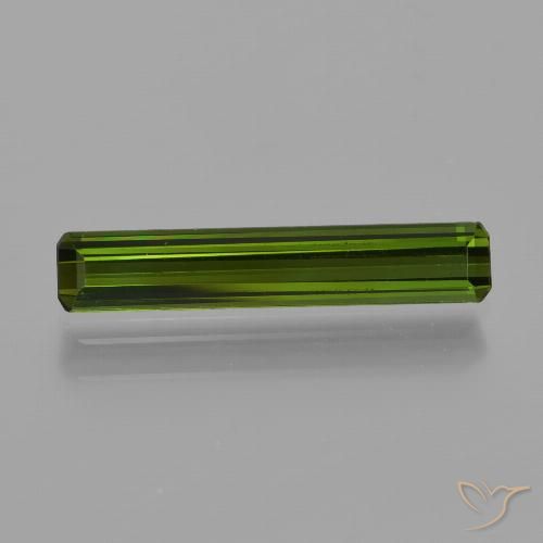 1.25ct Natural Verde floresta Turmalina, Corte Esmeralda, VS