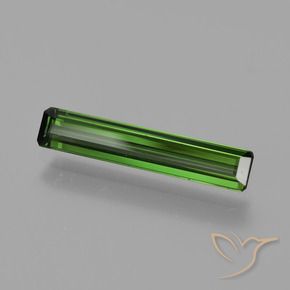 Turmalina Verde floresta Natural 1.22ct, Corte Octógono / Esmeralda, VS