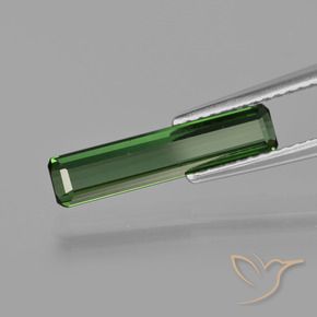 Turmalina Verde floresta Natural 1.24ct, Corte Octógono / Esmeralda, VS
