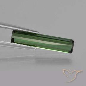Turmalina Verde floresta Natural 1.24ct, Corte Octógono / Esmeralda, VS