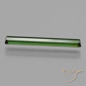 Turmalina Verde floresta Natural 1.27ct, Corte Octógono / Esmeralda, VS
