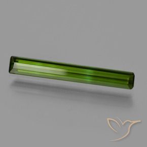 Turmalina Verde floresta Natural 0.96ct, Corte Octógono / Esmeralda, VVS-VS
