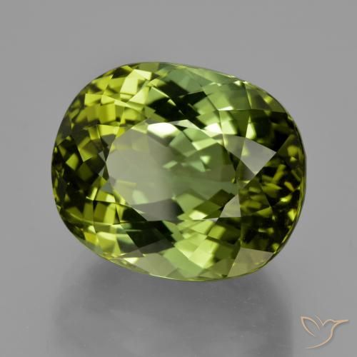 Turmalina Verde floresta Natural 24.08ct, oval, VVS