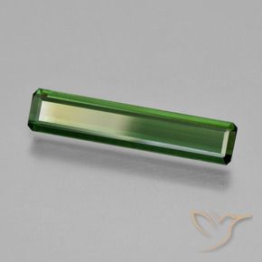 Turmalina verde escuro Natural 1.56ct, Corte Octógono / Esmeralda, VS