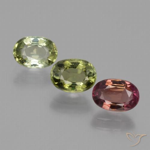 Pedras preciosas de Turmalina Multicolorido natural de 2.60 ct, oval, VS