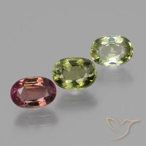 Pedras preciosas de Turmalina Multicolorido natural de 2.60 ct, oval, VS