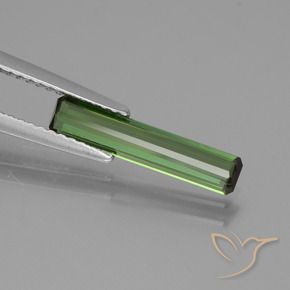 Turmalina verde escuro Natural 1.01ct, Corte Octógono / Esmeralda, VS
