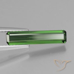 Turmalina Verde Natural 1.02ct, Corte Octógono / Esmeralda, VS