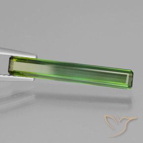 Turmalina Verde médio Natural 1.47ct, Corte Octógono / Esmeralda, VVS