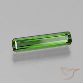 Turmalina Verde floresta Natural 0.75ct, Corte Octógono / Esmeralda, VVS