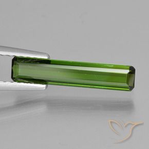 Turmalina Verde escuro Natural 1.07ct, Corte Octógono / Esmeralda, VVS-VS
