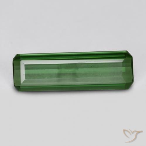 Turmalina Verde floresta Natural 0.76ct, Corte Octógono / Esmeralda, VVS-VS