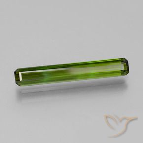 Turmalina Algas Verdes Natural 2.47ct, Corte Octógono / Esmeralda, VVS
