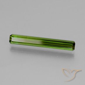 Turmalina Algas Verdes Natural 1.69ct, Corte Octógono / Esmeralda, VVS-VS