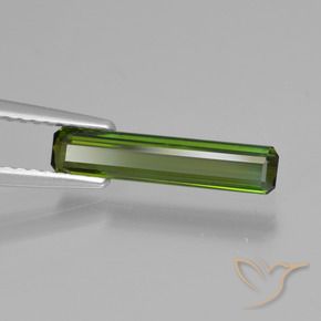 Turmalina Verde médio Natural 0.87ct, Corte Octógono / Esmeralda, VVS-VS