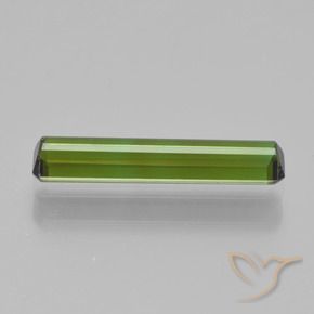 Turmalina Verde floresta Natural 1.08ct, Corte Octógono / Esmeralda, VVS-VS