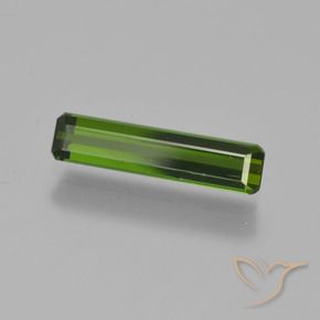 Turmalina Verde floresta Natural 0.91ct, Corte Octógono / Esmeralda, VVS