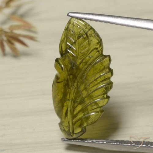 4.75ct Natural verde quente Turmalina, Chique, Translúcido