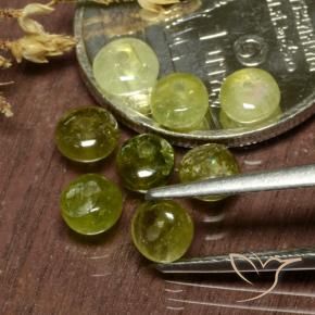 Pedras preciosas de Turmalina Amarelo verde natural de 3.16 ct, Chique, Translúcido