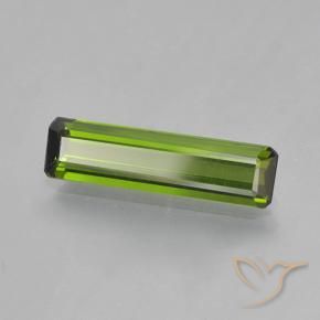 Turmalina Algas Verdes Natural 1.45ct, Corte Octógono / Esmeralda, VVS-VS