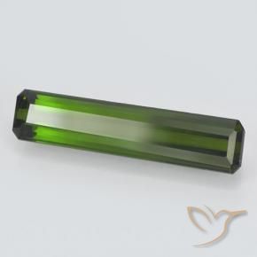 Turmalina Floresta Profunda Verde Natural 2.35ct, Corte Octógono / Esmeralda, VVS-VS