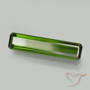 Turmalina Verde Terroso Natural 2.22ct, Corte Octógono / Esmeralda, VVS-VS