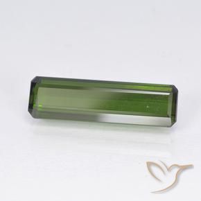 Turmalina Algas Verdes Natural 2.55ct, Corte Octógono / Esmeralda, VVS-VS