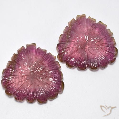 Pedras preciosas de Turmalina bicolor natural de 77.16 ct, Flor cortada, Transparente