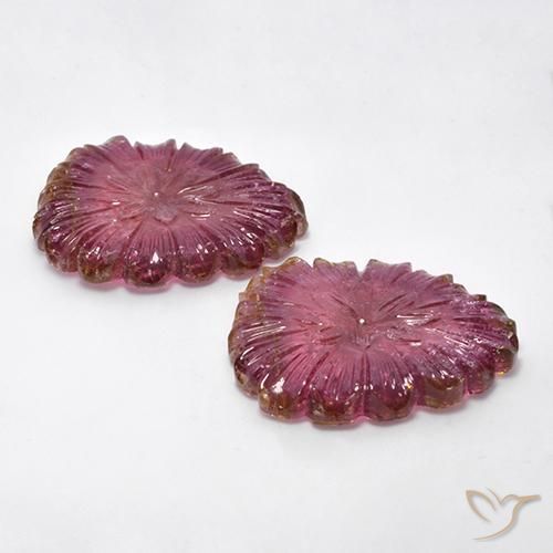Pedras preciosas de Turmalina bicolor natural de 77.16 ct, Flor cortada, Transparente