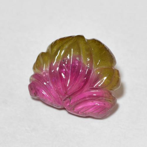 Turmalina bicolor Natural 3.93ct, Chique, Transparente