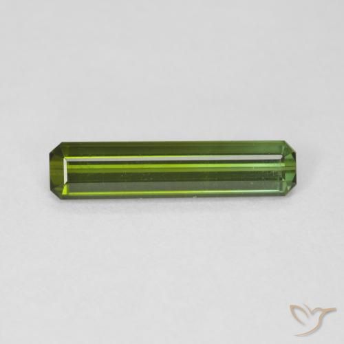 1.47ct Natural Verde floresta Turmalina, Corte Esmeralda, VVS