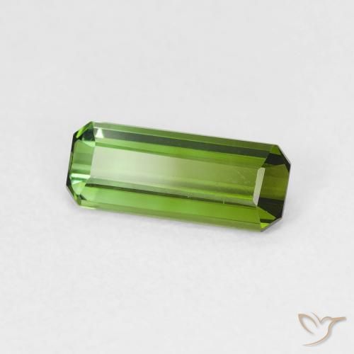 Turmalina Verde floresta Natural 0.88ct, Corte Octógono / Esmeralda, VVS-VS