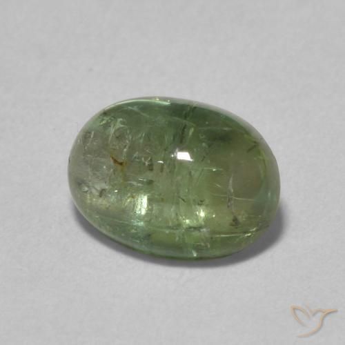 Turmalina Verde médio Natural 1.52ct, oval, Transparente