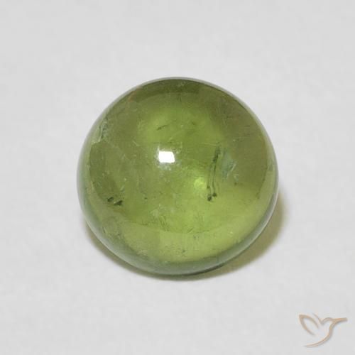 1.57ct Natural Verde Floresta Claro Turmalina, Redondo, Transparente