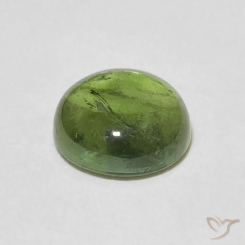 Turmalina Verde Floresta Claro Natural 1.57ct, Redondo, Transparente